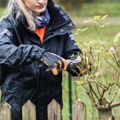 Arbeits und Gartenhandschuhe