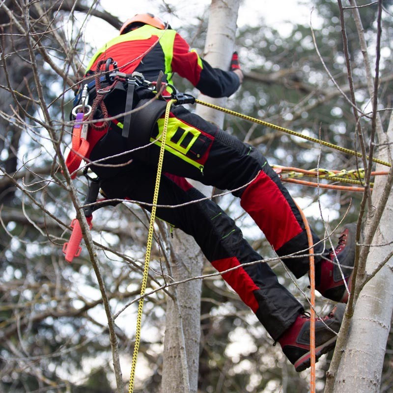 INFINITY KL 1 type A Schnittschutzhose INFINITY KL 1 type A Schnittschutzhose