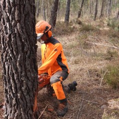 AUTHENTIC KL 3 Type A Schnittschutzhose