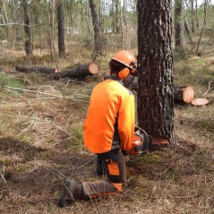 AUTHENTIC KL 3 Type A Schnittschutzhose