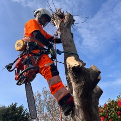 ULTRALIGHT KL 1 Type C Kettensägehose