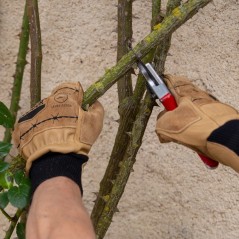 Schutzhandschuhe Schutzhandschuhe