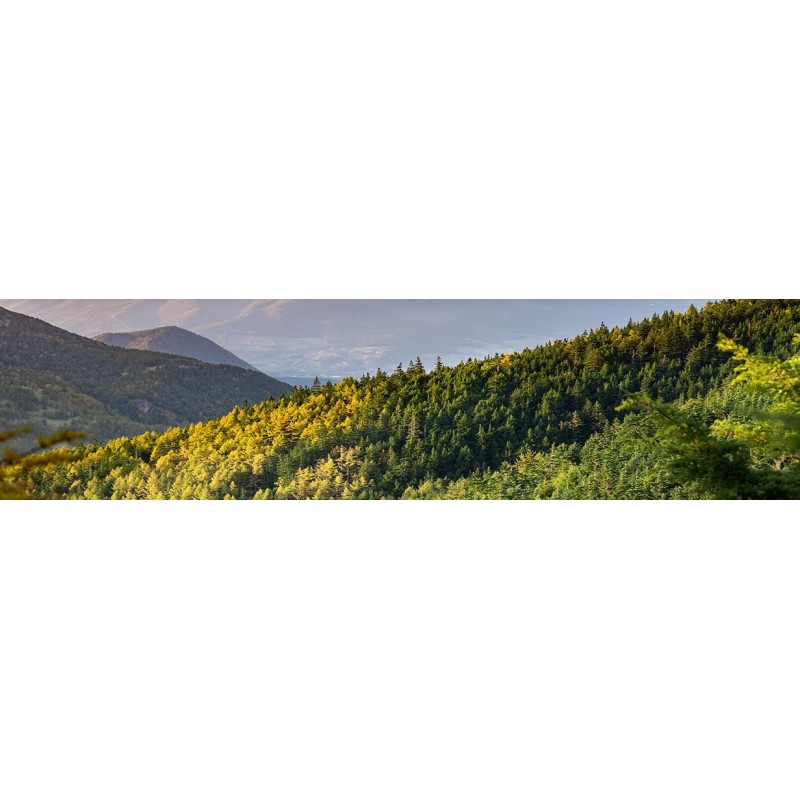 Forstzubehör für mehr Sicherheit und Komfort: Gurte, Trinkflaschen und Zeckenkarten